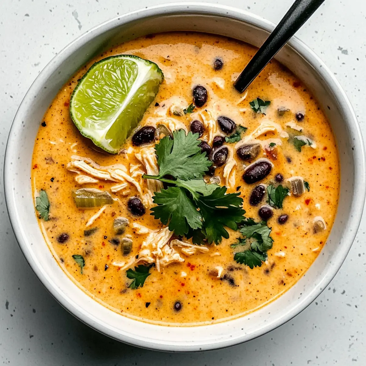 Chicken, Poblano, and Black Bean Soup